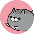ボンレス猫