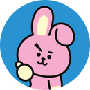 COOKY