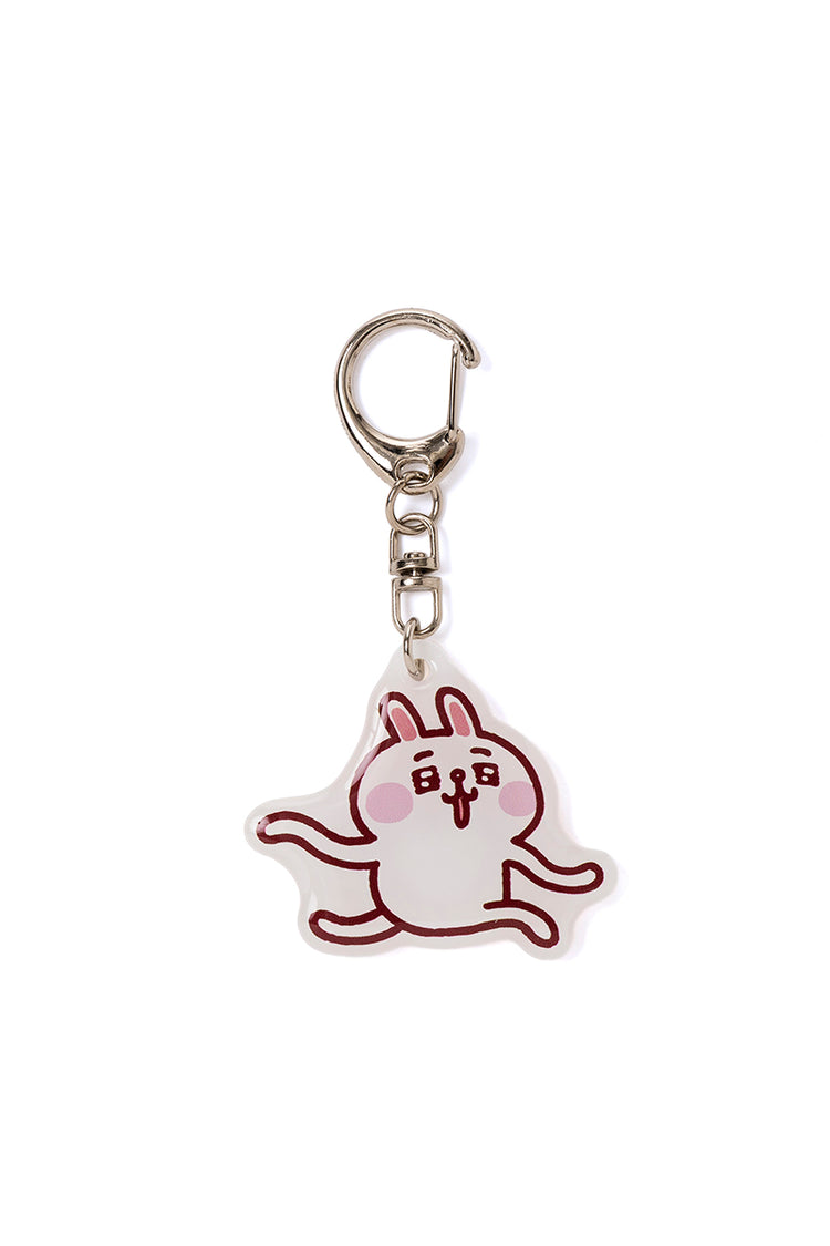 「BROWN バースデー記念」LINE FRIENDS | カナヘイ アクリルキーチェーン HAPPYセット