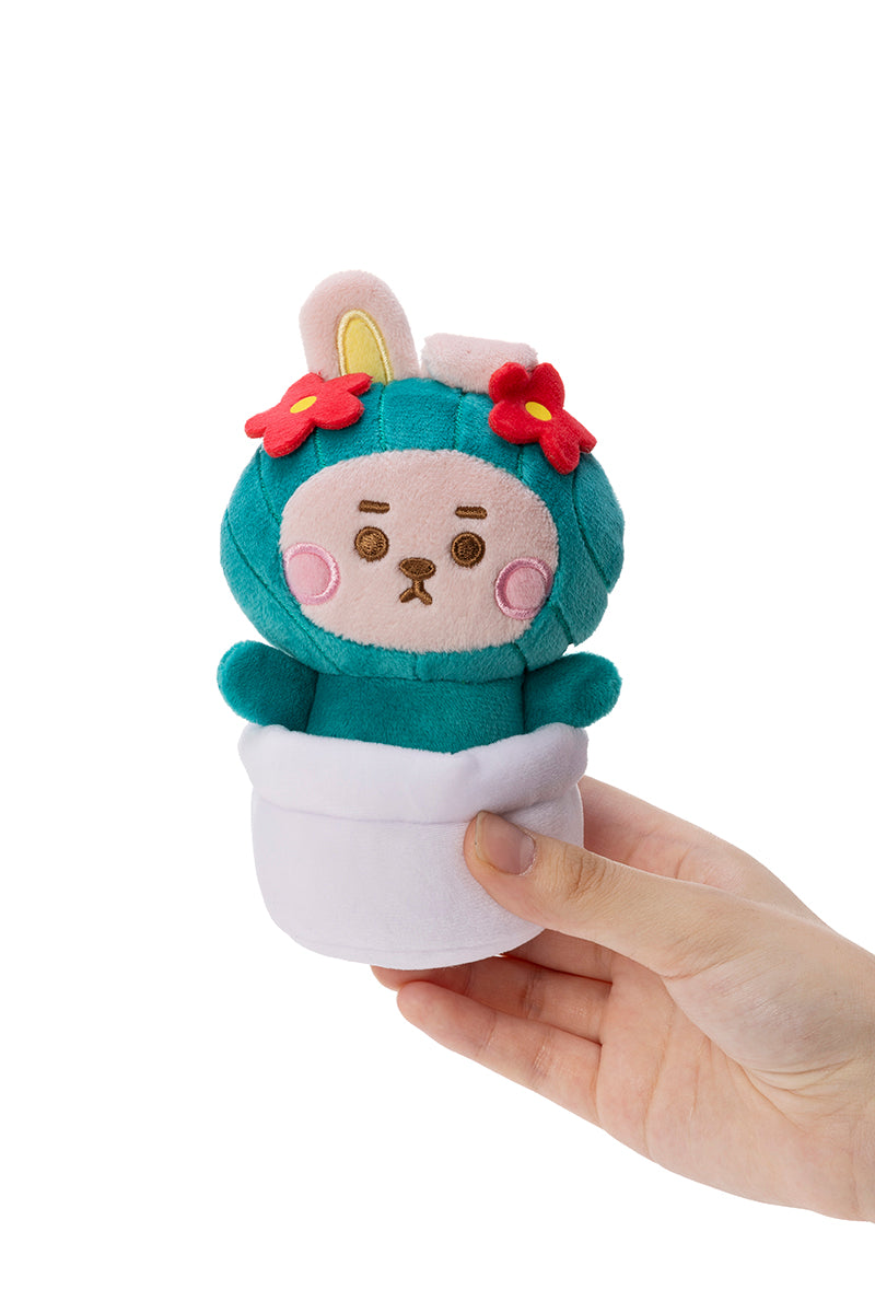 ベビー サボテンぬいぐるみ(Little Friends) COOKY