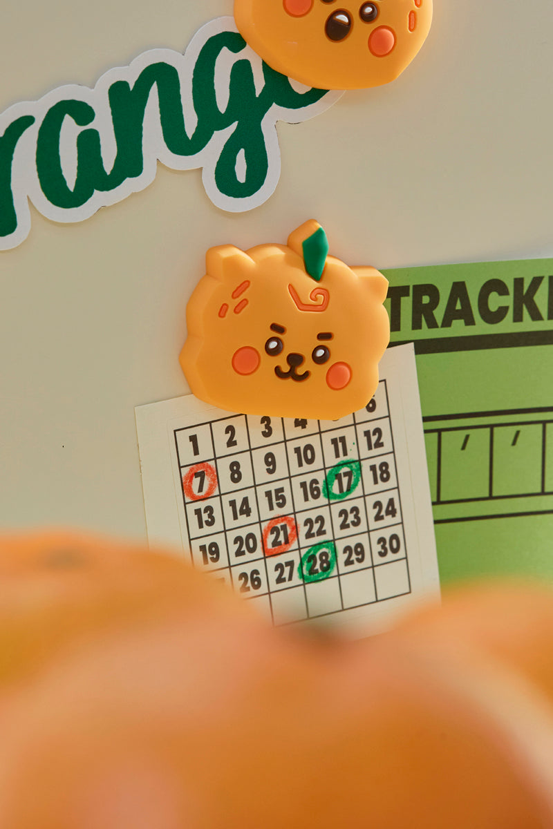 ベビー シリコンマグネット(ORANGE PARTY) RJ