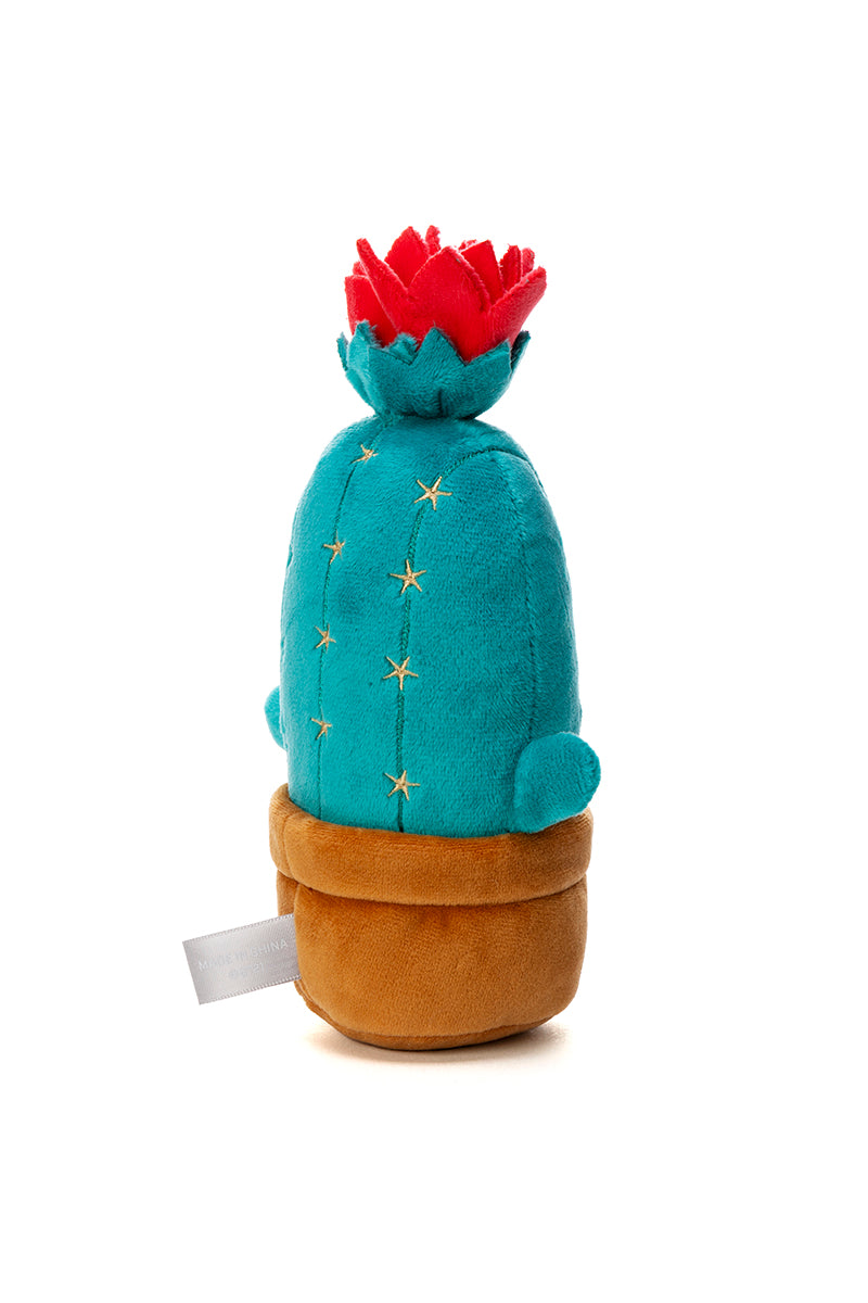 ベビー サボテンぬいぐるみ(Little Friends) MANG