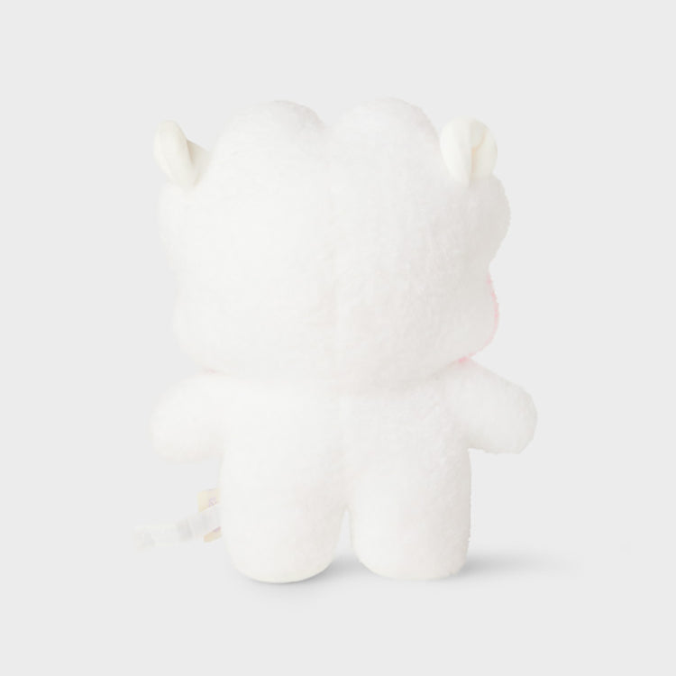 BT21 minini スタンドぬいぐるみ(BIG&TINY) RJ