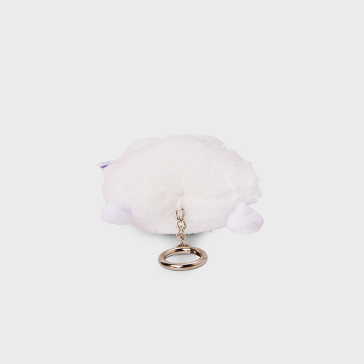 BT21 minini スタンディングぬいぐるみキーリング RJ