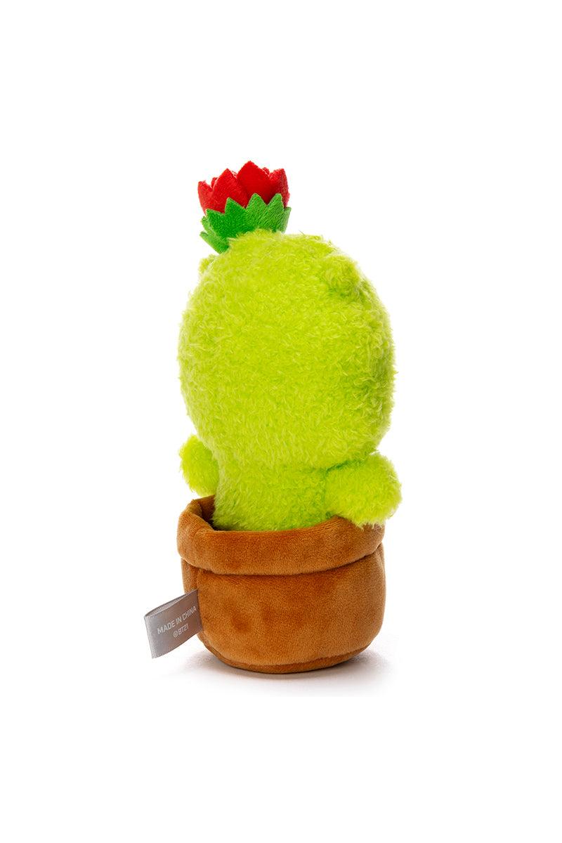 ベビー サボテンぬいぐるみ(Little Friends) RJ