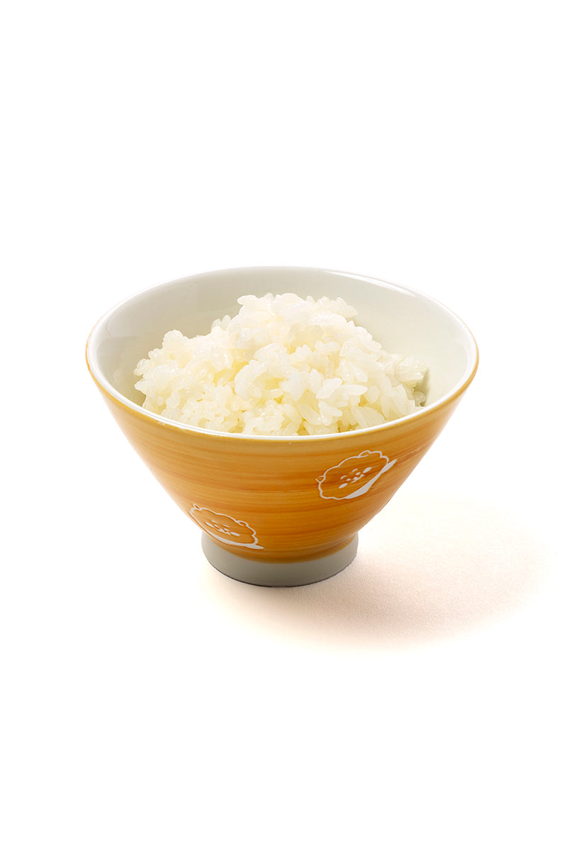 波佐見焼 お茶碗(新生活) RJ