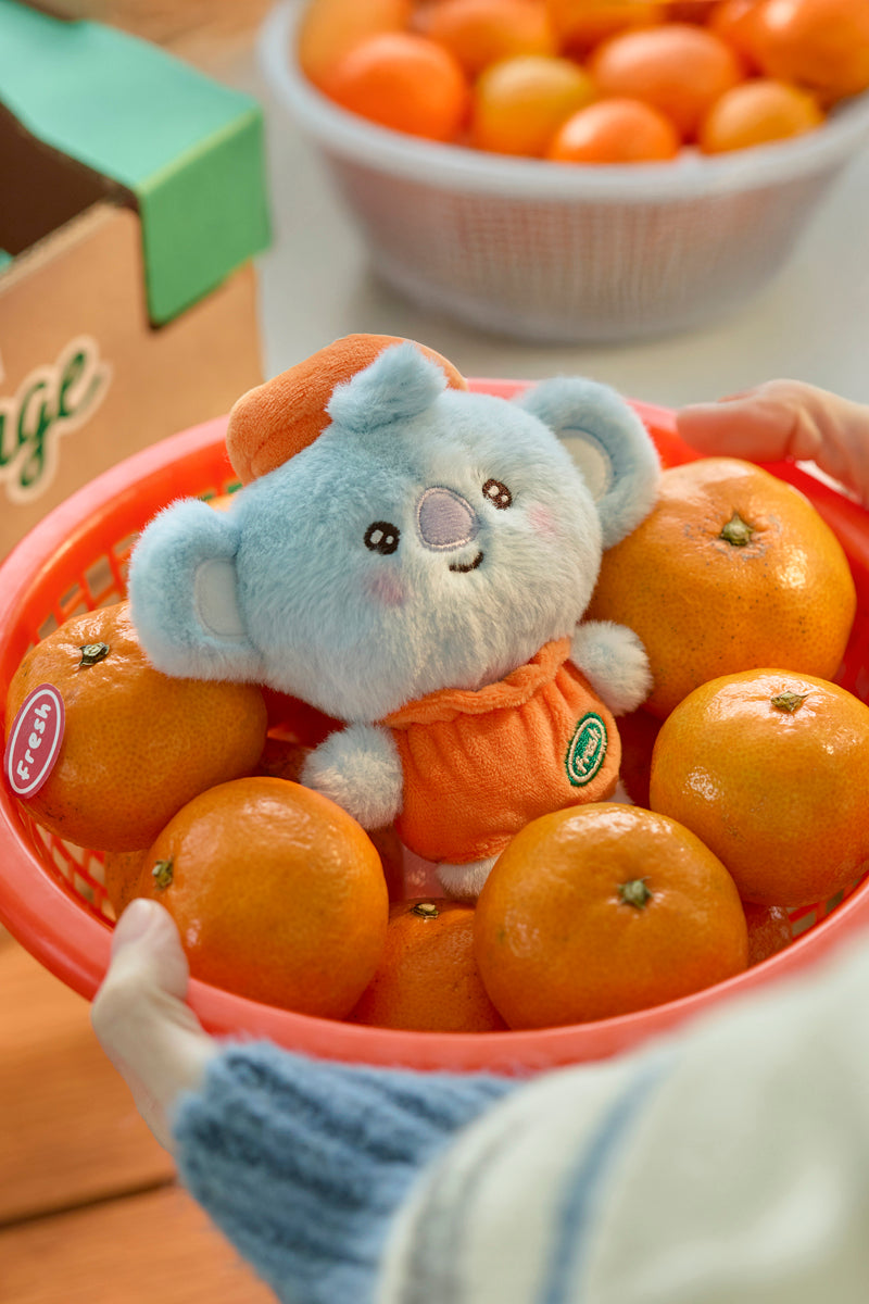 ベビー ぬいぐるみ(ORANGE PARTY) KOYA