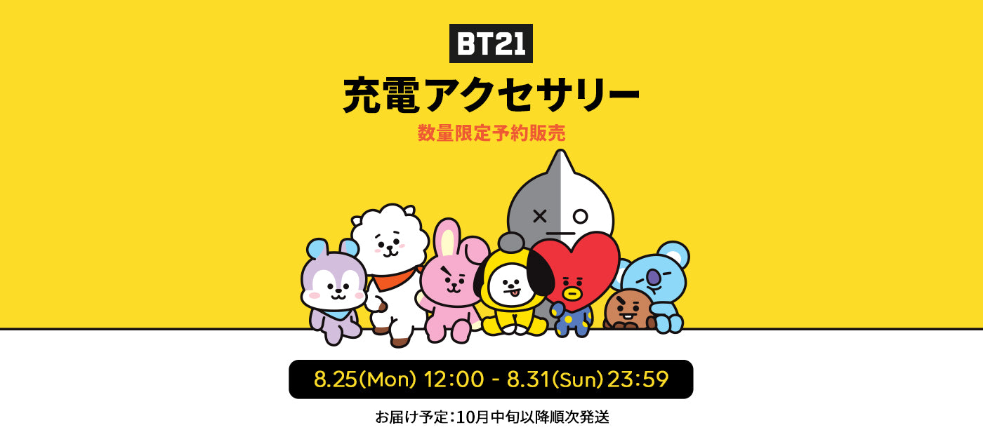 BT21 充電アクセサリー