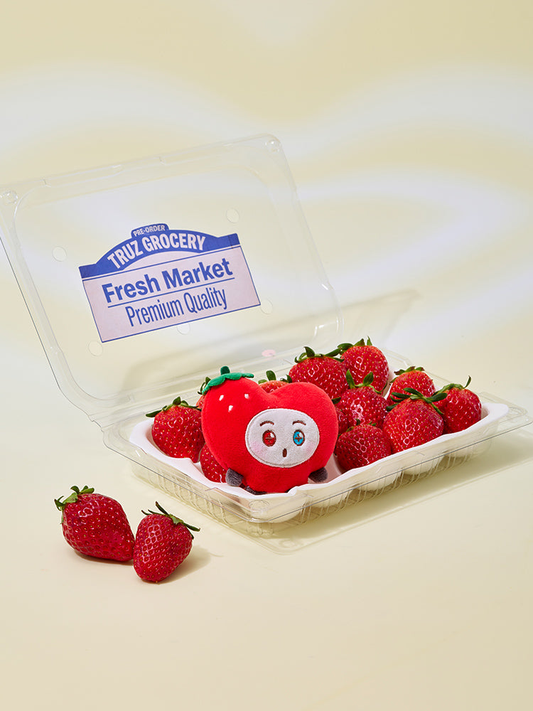 予約販売】ぬいぐるみキーリング(FRUIT FARM) BONBON – LINE FRIENDS