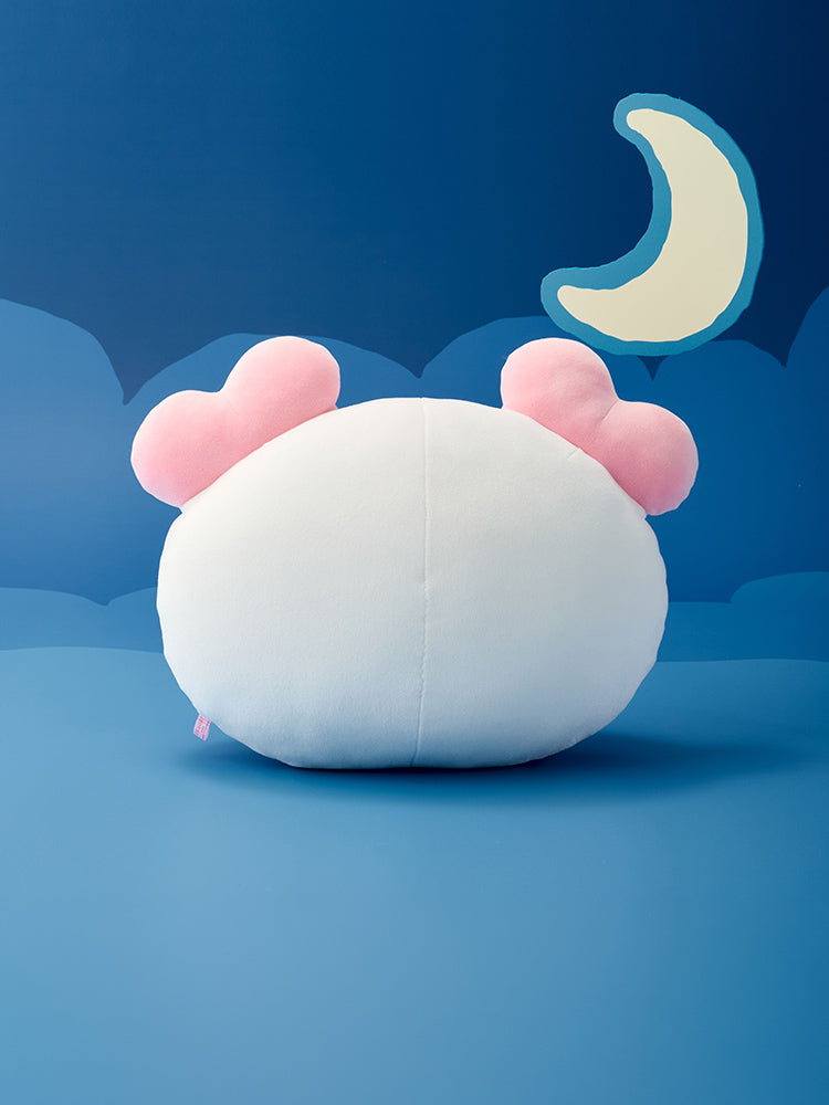 【先行予約販売】NCT WISH フェイスぬいぐるみクッション(wishnini house) pangpangnini