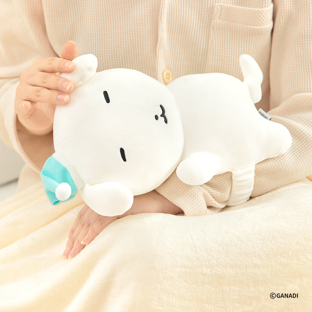 【期間限定販売】快眠アームクッション GANADI