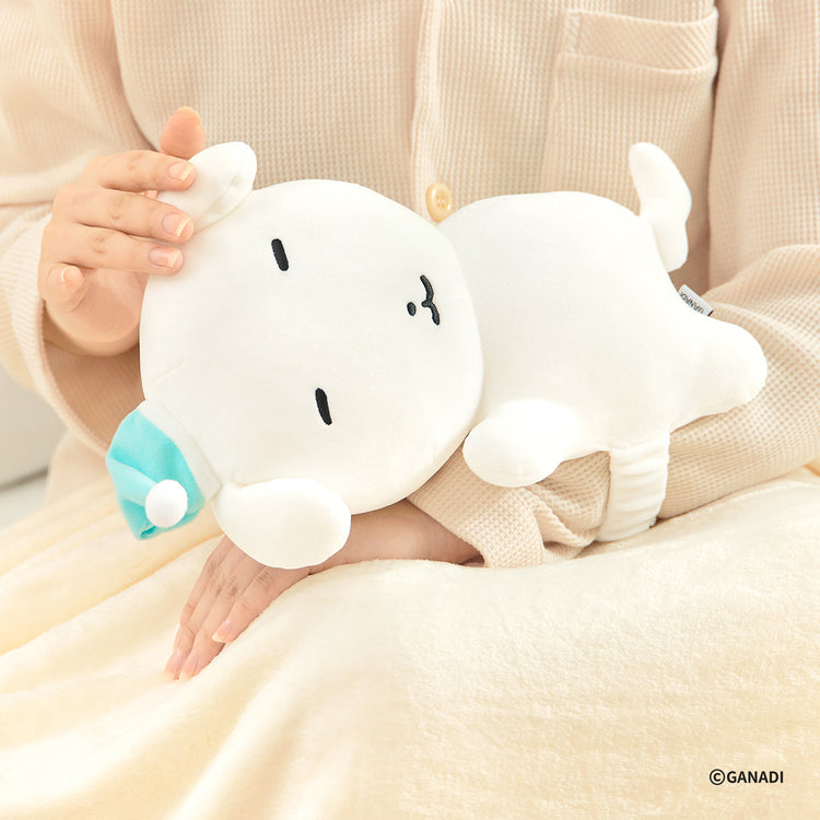 【期間限定販売】快眠アームクッション GANADI