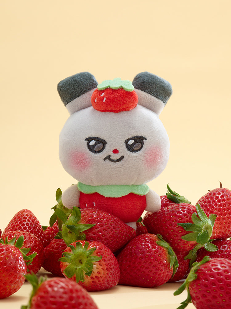 【予約販売】MIGHTEEZ ぬいぐるみキーリング(FRUIT FAIRY) ddeongyo