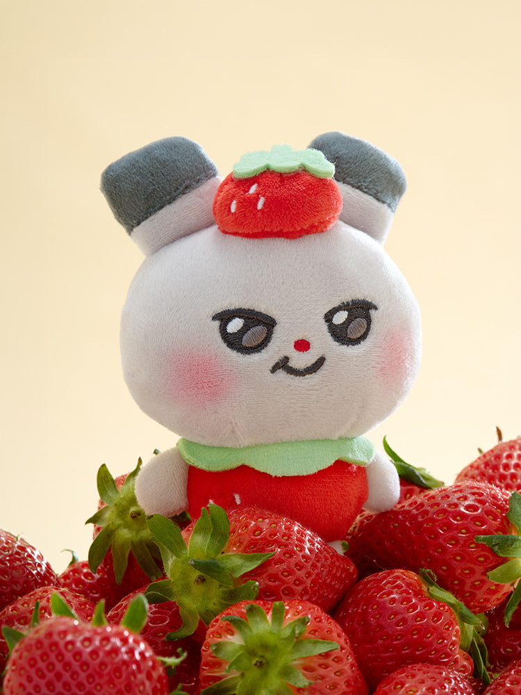 【予約販売】MIGHTEEZ ぬいぐるみキーリング(FRUIT FAIRY) ddeongyo