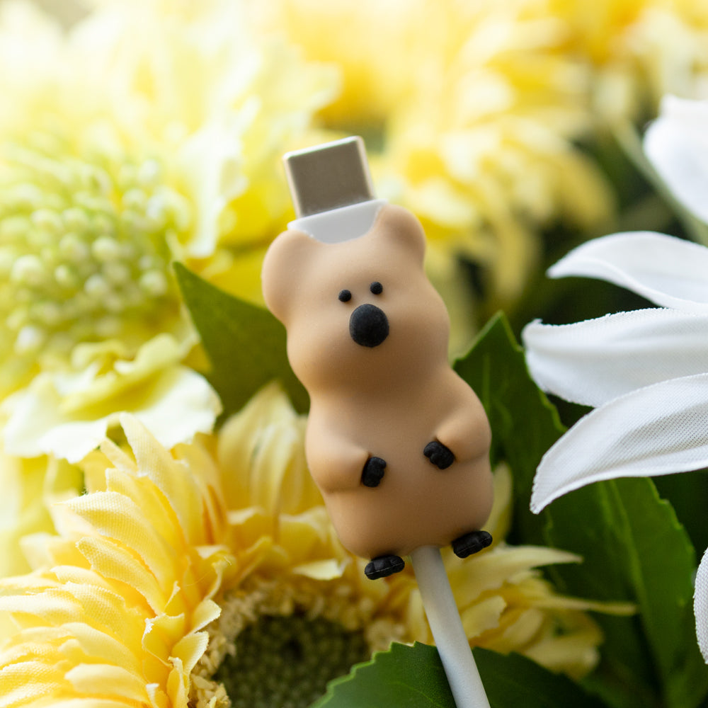 DINOTAENG  ケーブルプロテクター クオッカ