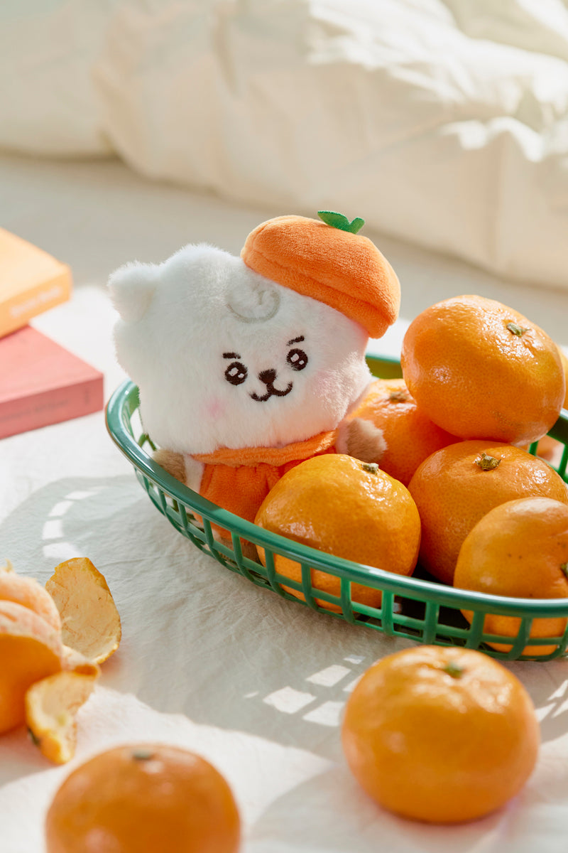 ベビー ぬいぐるみ(ORANGE PARTY) RJ