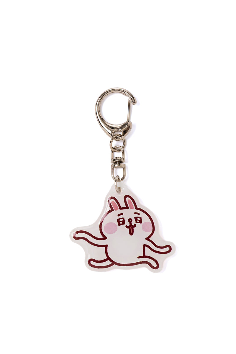 「BROWN バースデー記念」LINE FRIENDS | カナヘイ アクリルキーチェーン HAPPYセット