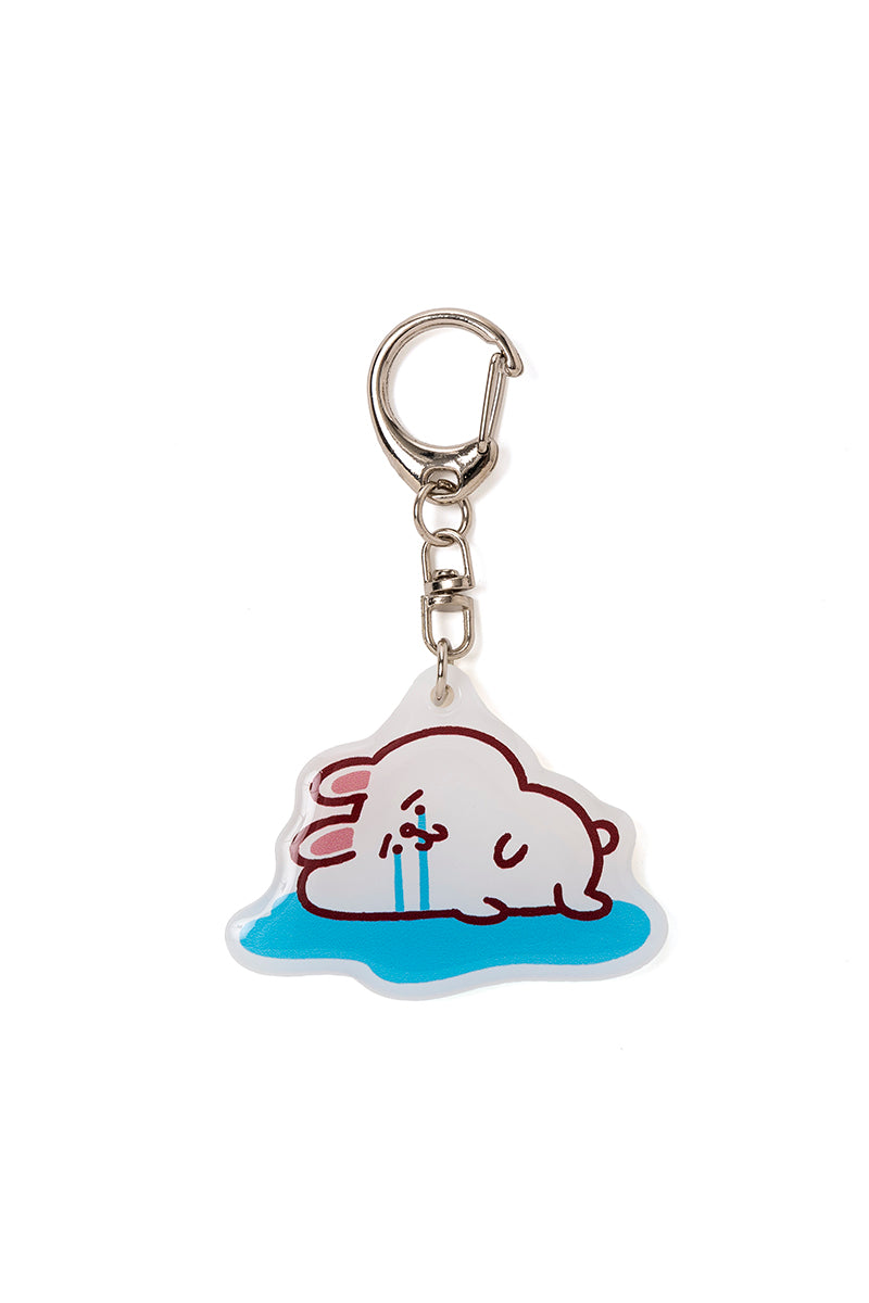 「BROWN バースデー記念」LINE FRIENDS | カナヘイ アクリルキーチェーン CRYセット