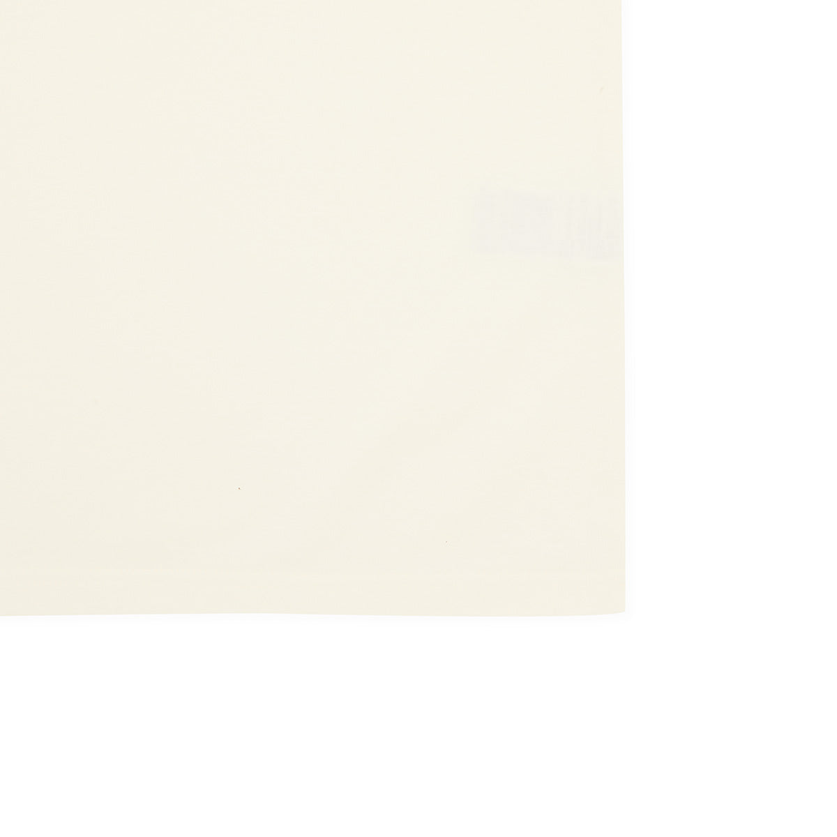 minini 半袖Tシャツ(DREAMS COME TRUE) TRUZ