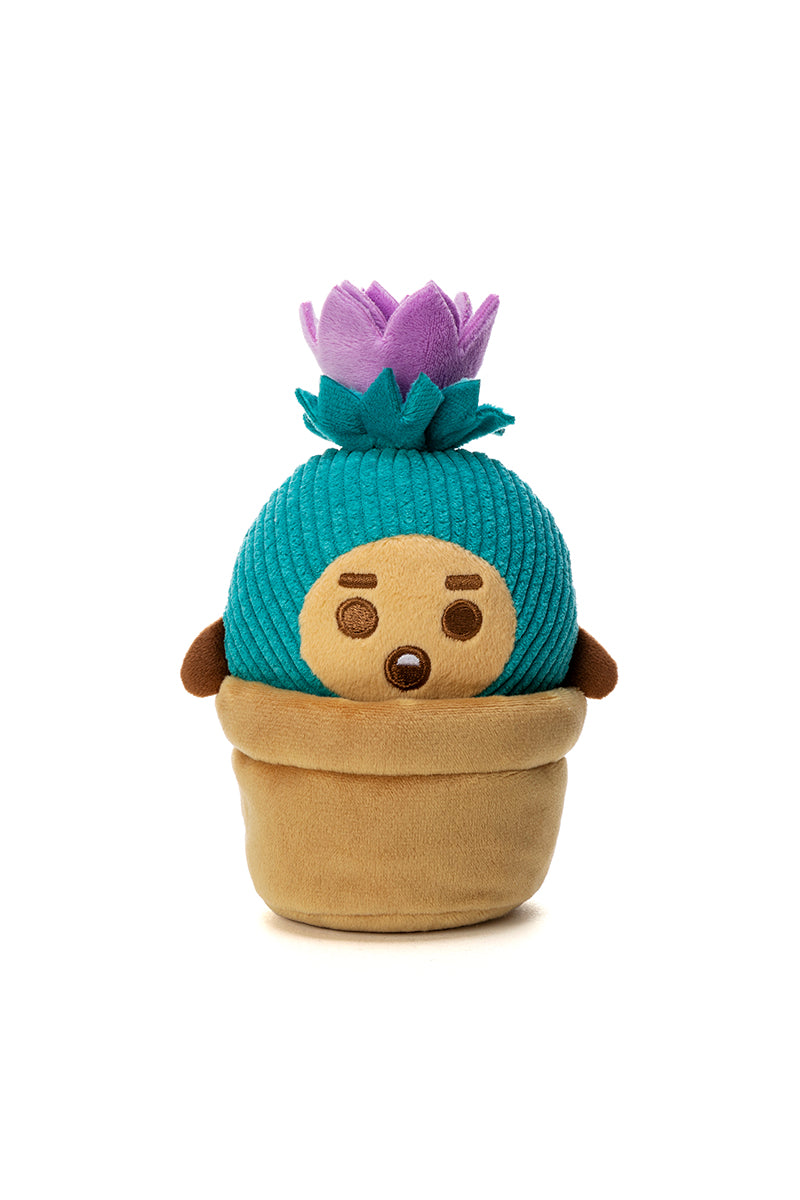 ベビー サボテンぬいぐるみ(Little Friends) SHOOKY