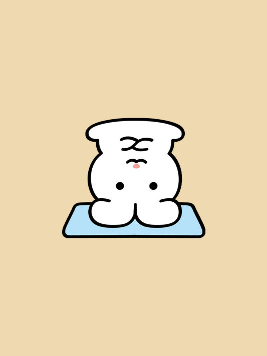 DOOHAMBBA! シール ヨガ