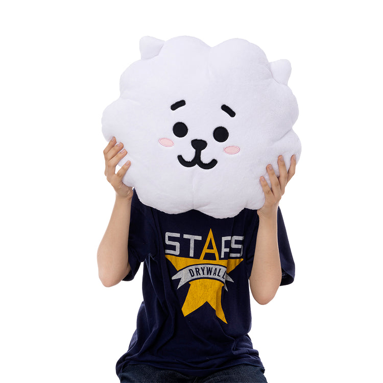 BASIC クッション RJ