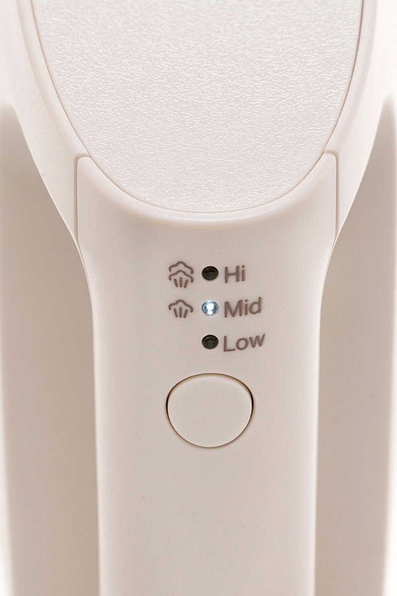 【数量限定予約販売】BRUNO 衣類スチーマー BT21