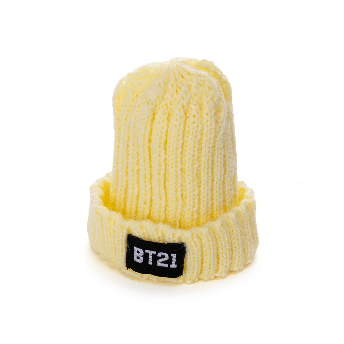 ポージング コスチューム ニット帽 BT21