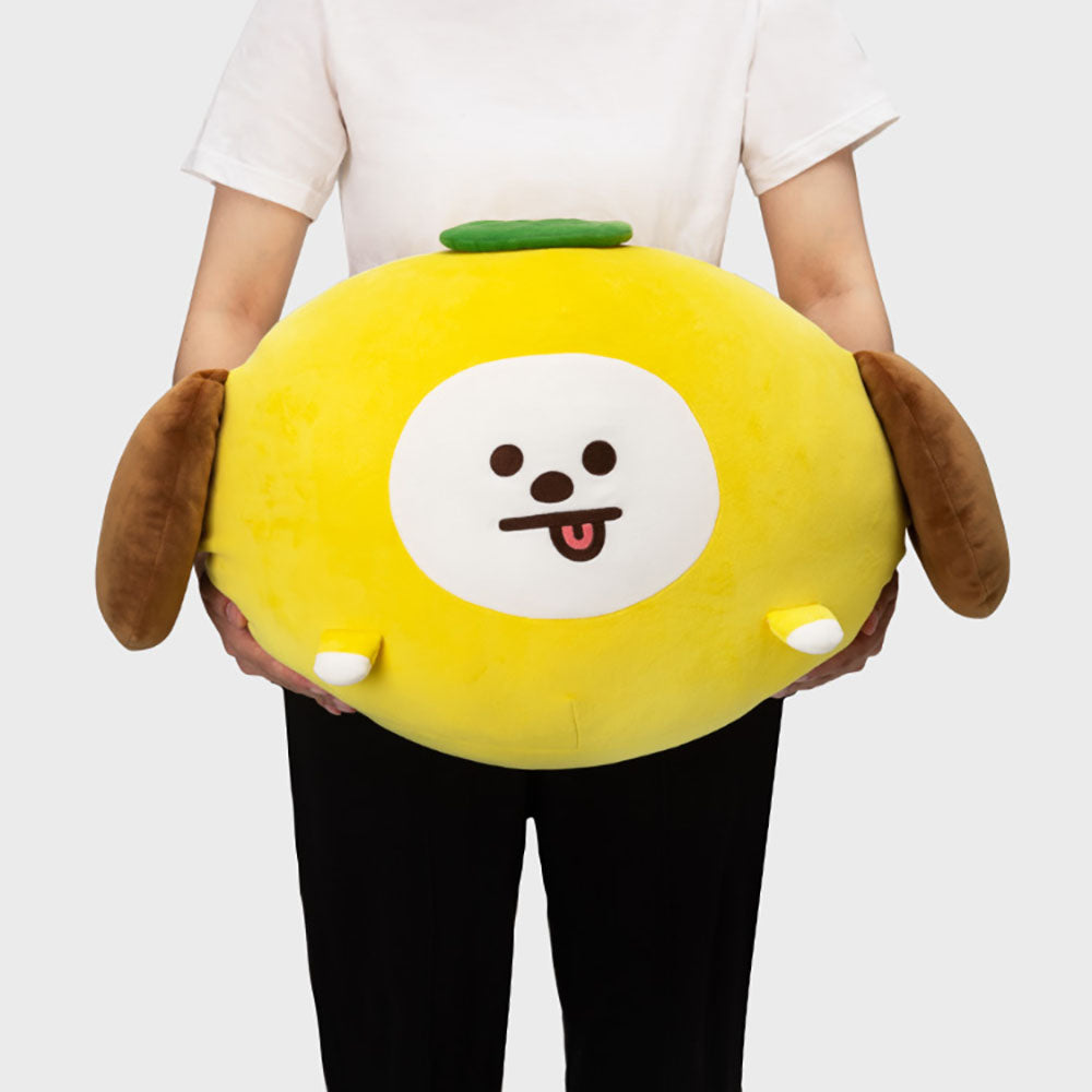 もちもちビッグクッション CHIMMY
