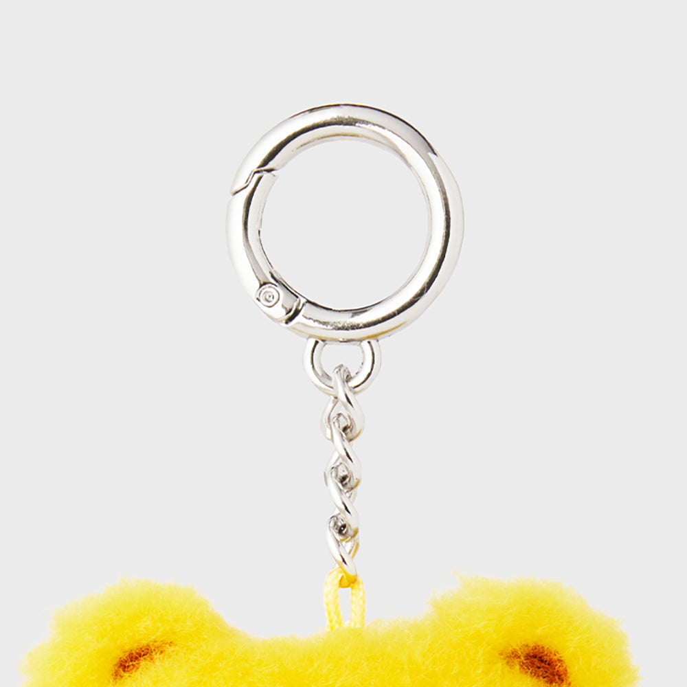 フォトカードフォルダー(SALLY DAY) ブラウン