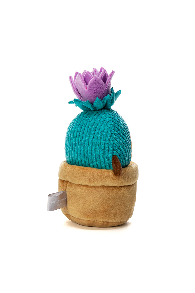 ベビー サボテンぬいぐるみ(Little Friends) SHOOKY