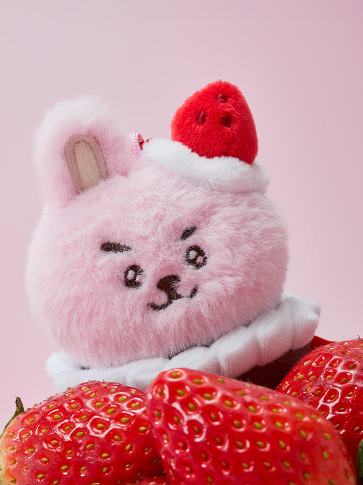 タルトぬいぐるみキーリング(STRAWBERRY PARTY) COOKY