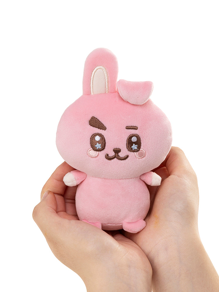 【予約販売】ぬいぐるみ(ぽむすたーず) COOKY