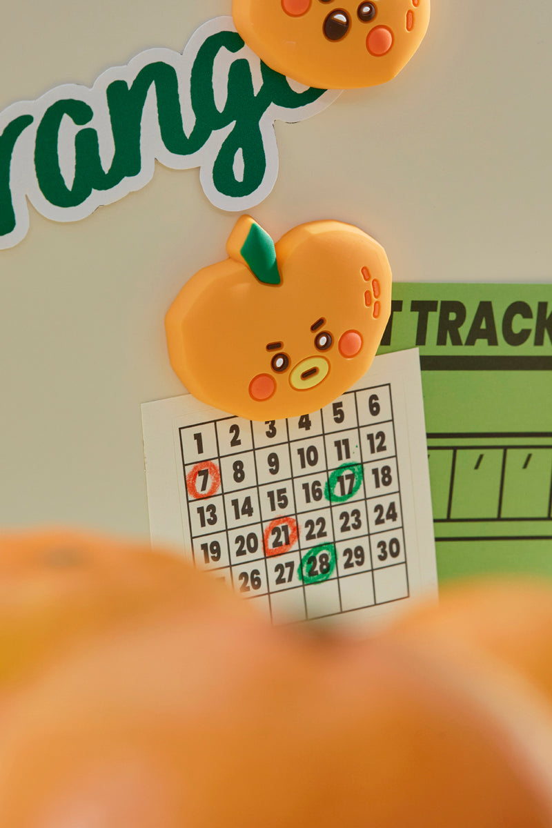 ベビー シリコンマグネット(ORANGE PARTY) TATA