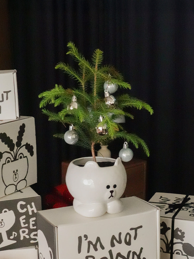 LOFA SEOUL X BROWN マルチユースボール