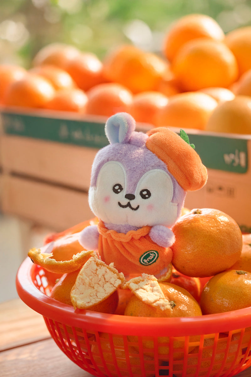 ベビー ぬいぐるみ(ORANGE PARTY) MANG