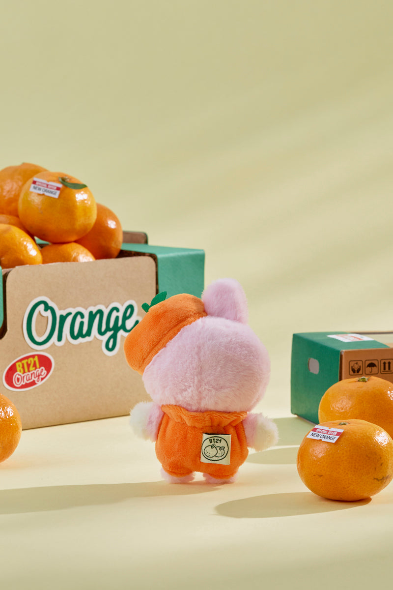 ベビー ぬいぐるみ(ORANGE PARTY) COOKY