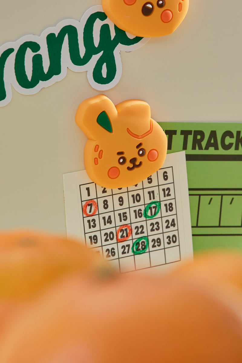 ベビー シリコンマグネット(ORANGE PARTY) COOKY