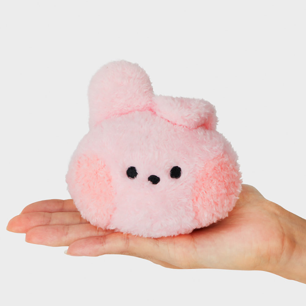 BT21 minini ぬいぐるみミラー(トウィンクル) COOKY
