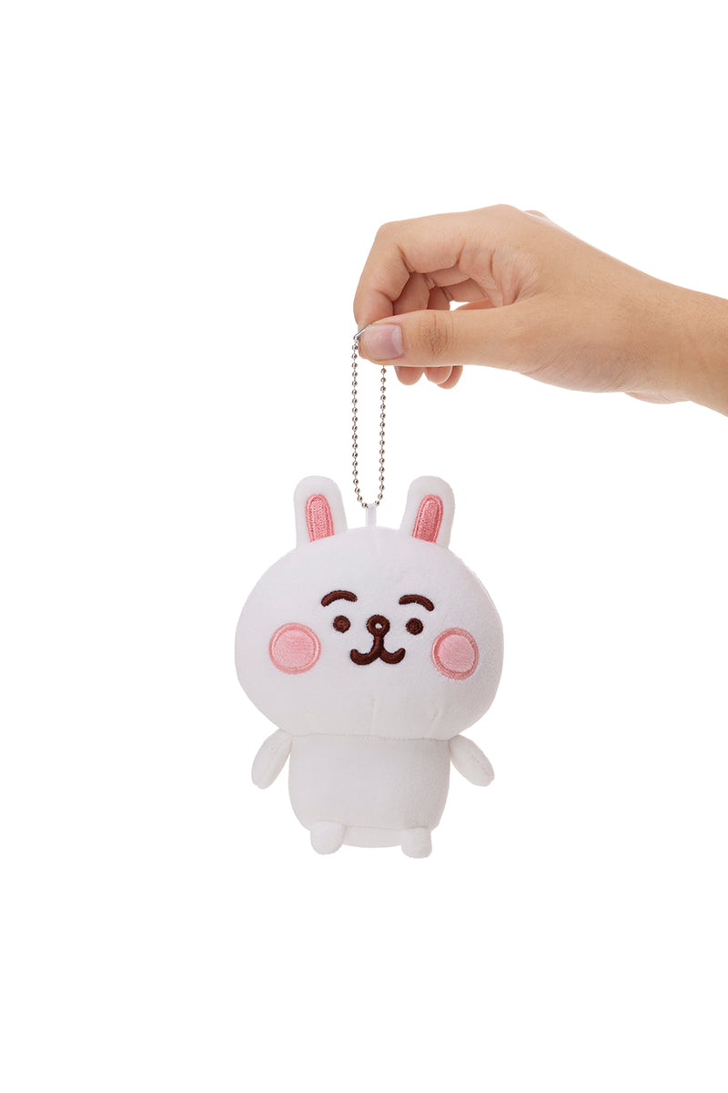 BROWN バースデー記念」LINE FRIENDS | カナヘイ マスコット コニー