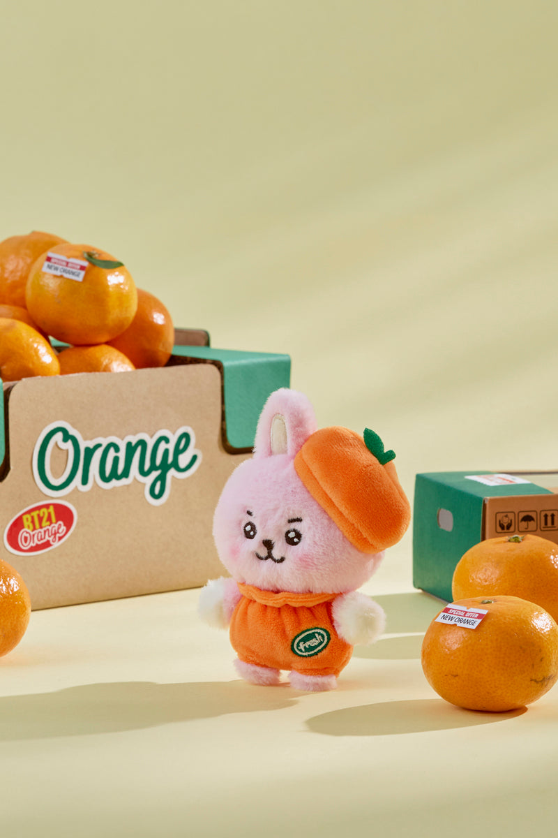 ベビー ぬいぐるみ(ORANGE PARTY) COOKY