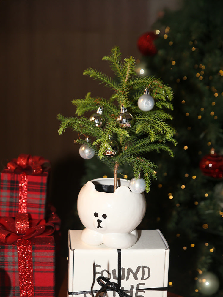 LOFA SEOUL X BROWN マルチユースボール