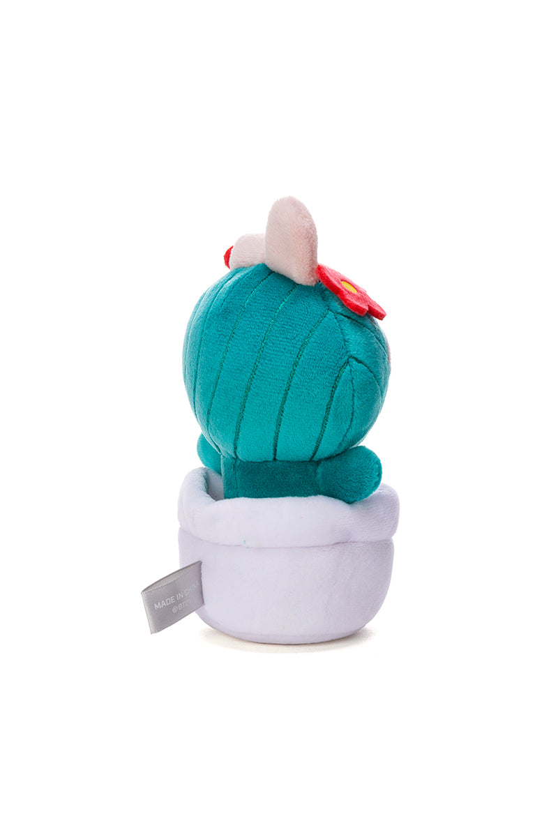 ベビー サボテンぬいぐるみ(Little Friends) COOKY