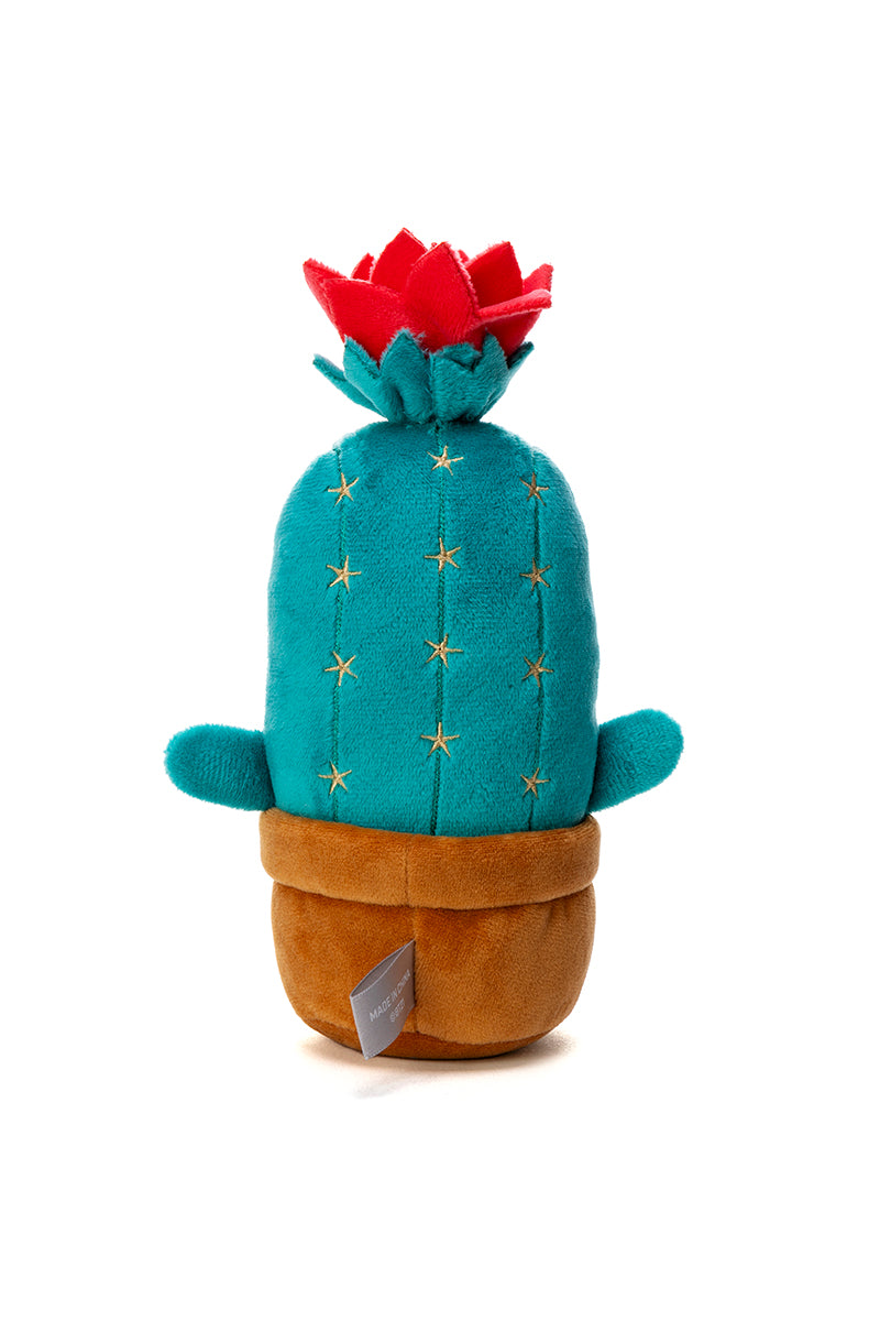 ベビー サボテンぬいぐるみ(Little Friends) MANG