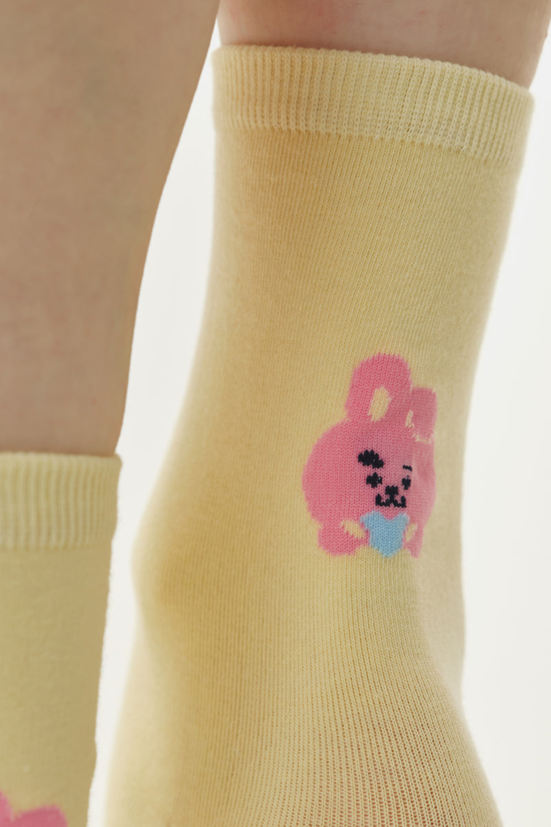 ベーシック靴下(2025 A/W) COOKY