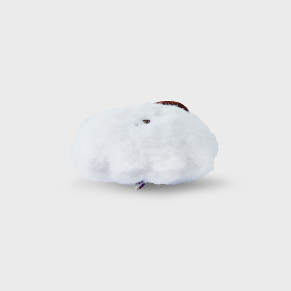 ミニぬいぐるみキーリング(HOPE IN LOVE) RJ