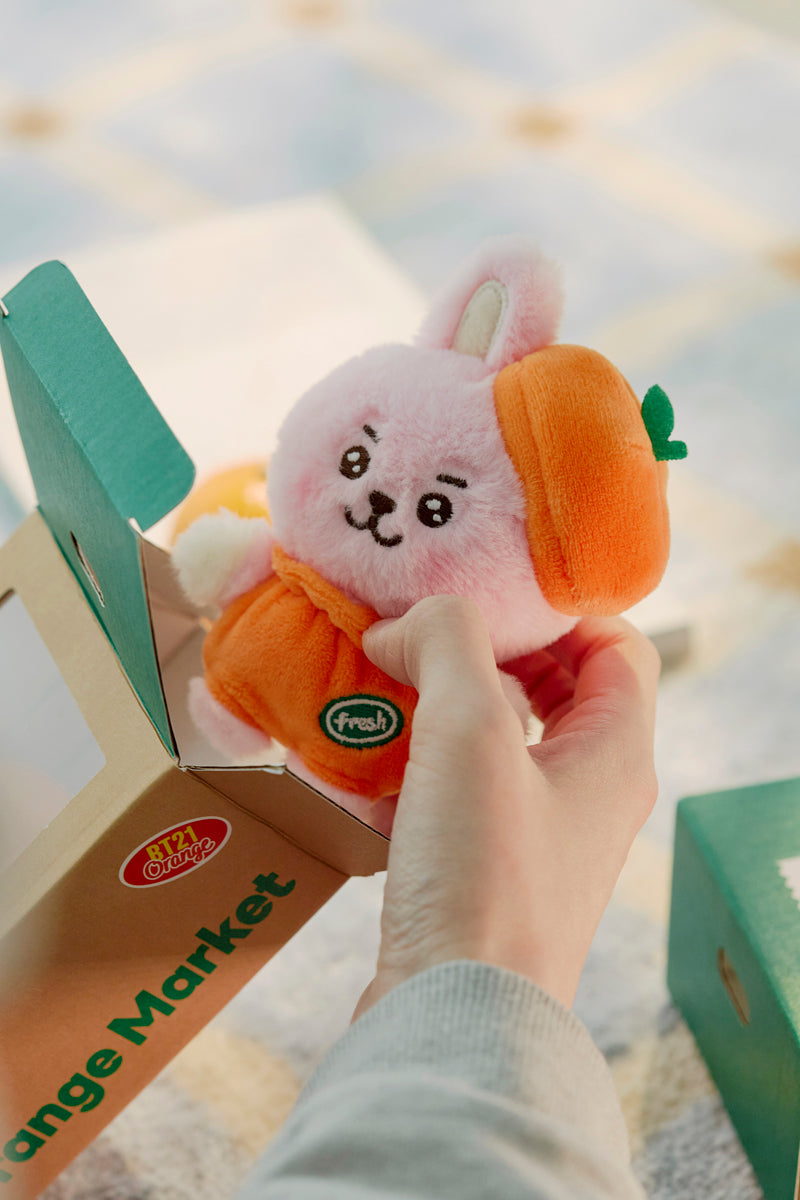 ベビー ぬいぐるみ(ORANGE PARTY) COOKY