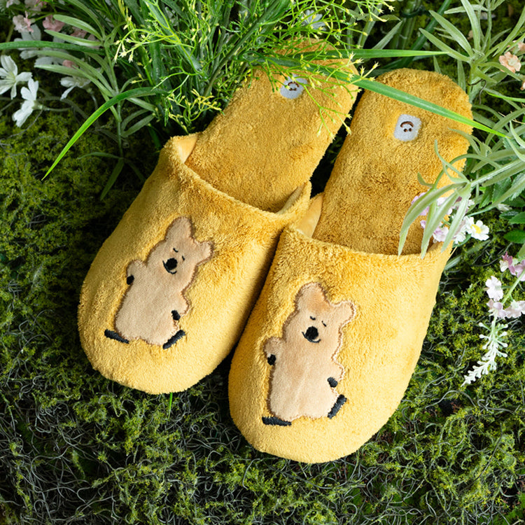DINOTAENG ウールスリッパ(in the Woods) クオッカ