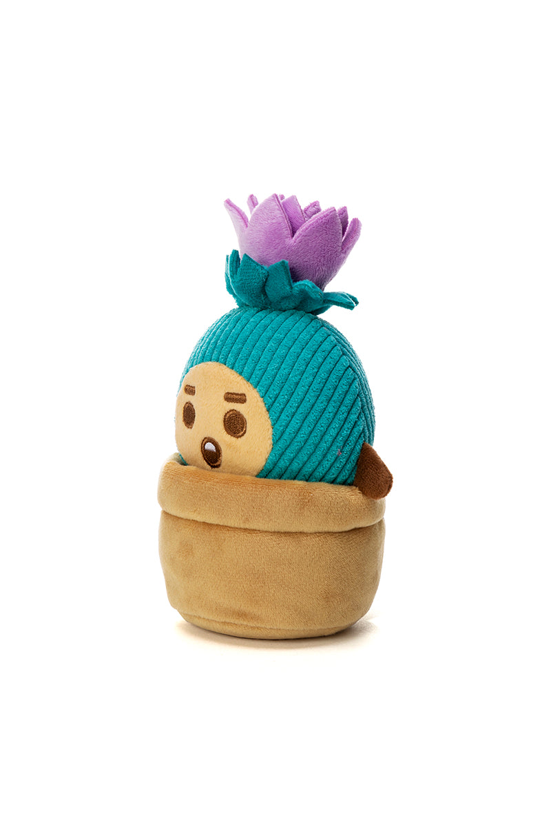 ベビー サボテンぬいぐるみ(Little Friends) SHOOKY