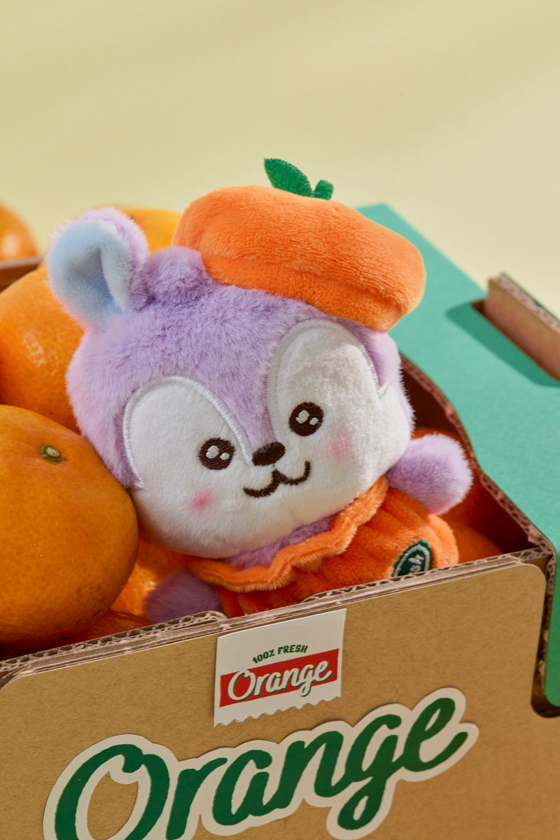 ベビー ぬいぐるみ(ORANGE PARTY) MANG